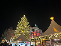 ベルリンワーホリ中の冬の楽しみ方|クリスマスマーケット編