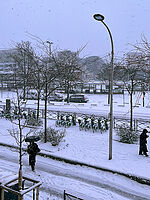 ��̉e���@�@���g�̃t�����X�ŕ����̒�؁A�����Paris�ɑ����q���B