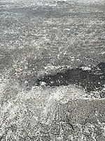 ドイツ・ベルリン発|今年の冬の極寒が都市機能に与えた影響